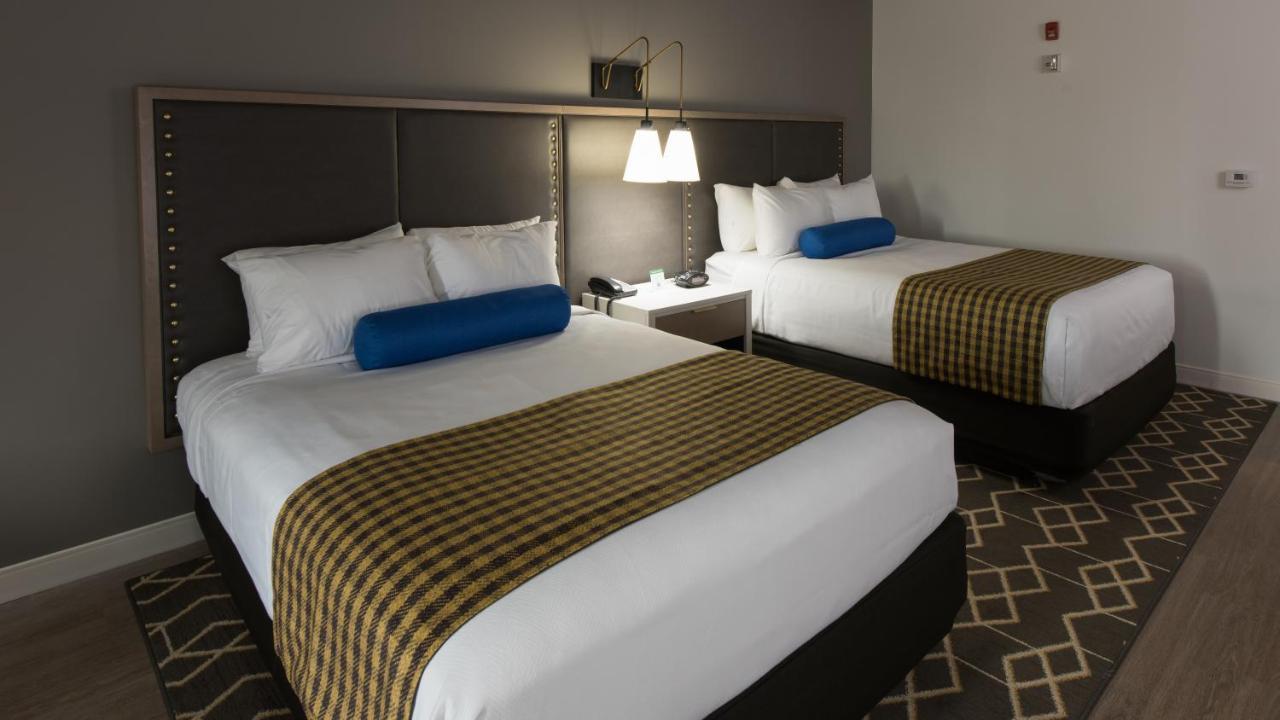 อินดิโก แฮตติสเบิร์ก Hotel แฮตตีส์เบิร์ก ห้อง รูปภาพ